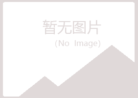 白城曼山会计有限公司